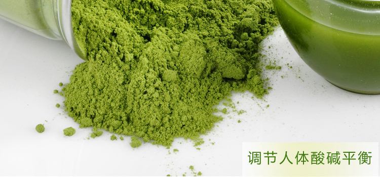 企业专题|道妙法师参加2013年携手共建生态 企业专题|道妙法师参加2013年携手共建生态